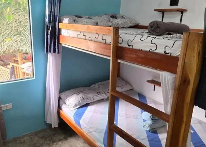 호스텔 Sweetie & Bunkbeds 몰볼