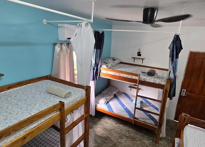 Sweetie & Bunkbeds 호스텔